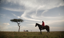 Kenya-Masai Mara-Masai Mara Ride - Aloe Blossom